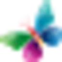 Colorit Coupon Codes